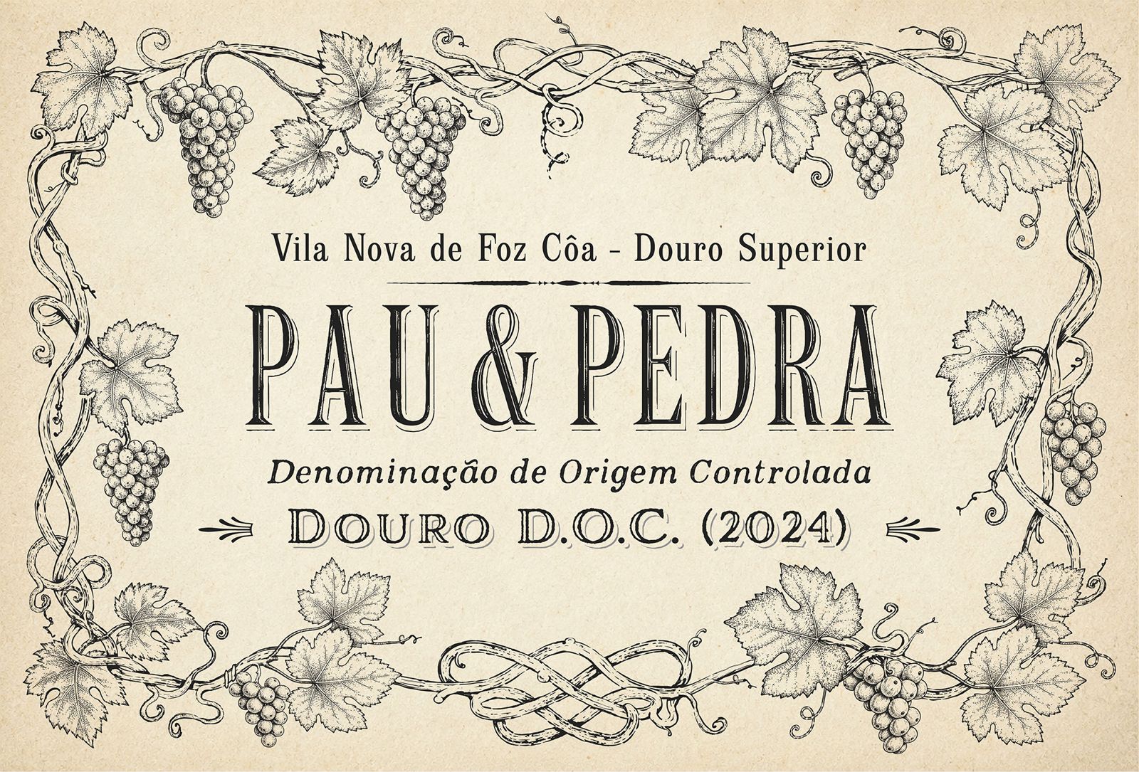 Rótulo Pau & Pedra, Douro D.O.C. 2024, ilustrado com videiras sobre papel em tom de pergaminho